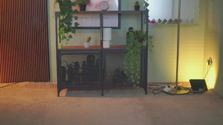 MiraDelynn's Streamate show and profile