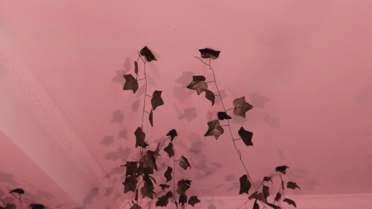 Charlottesinclair22's Streamate show and profile