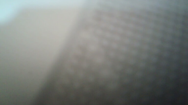 Sweet_Seductive_Fox's Streamate show and profile